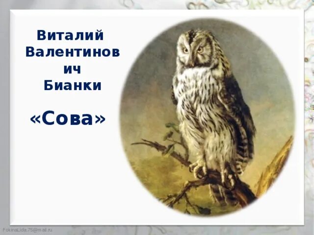 Сказка сова бианки изложение