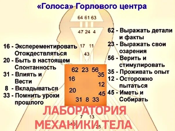 Королев горлового. Голоса горлового центра дизайн человека. Ворота горлового центр бодиграф. Определенный горловой центр. Горловой центр в дизайне человека.