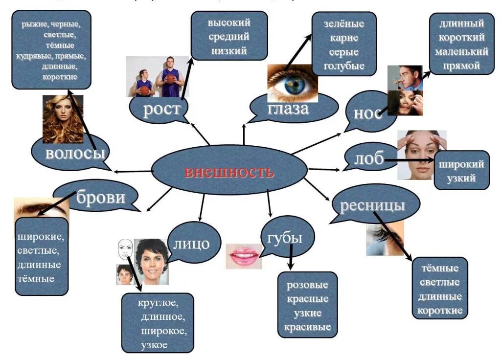 Внешность человека предложения. Описание внешности и характера человека. Описание внешности человека. Описание внешнего вида человека. Как описать внешность и характер человека.