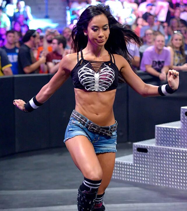 Aj lee vs paige. Aj lee wwe. эй джей сопрано. Aj lee. Aj lee.
