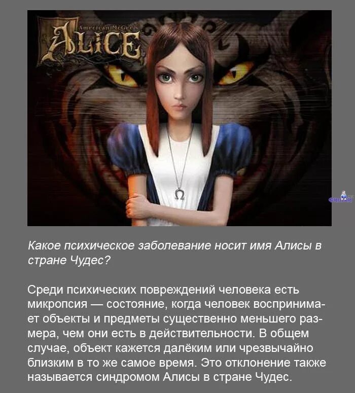 Алиса какой человек