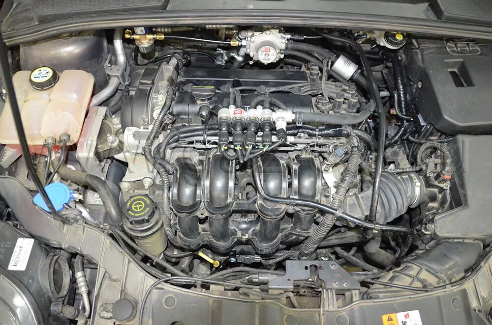 Замена двигателя форд фокус 3 1.6