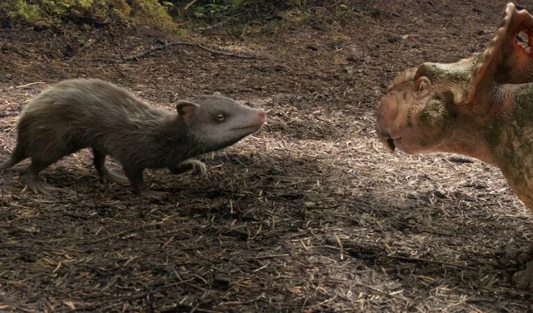 первое появление млекопитающих. кенгуру древние предки древние. млекопитающие на земле. цинодонты мезозоя. цинодонты в триасовый период.