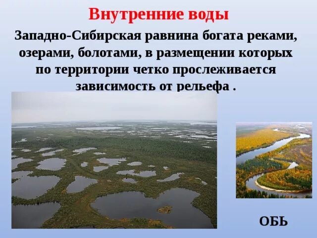 Использование западно сибирской равнины. Гидрография Западно сибирской равнины. Внутренние воды Западно сибирской равнины. Западно Сибирская равнина реки озера болота. Западносибирскаяя равнина.