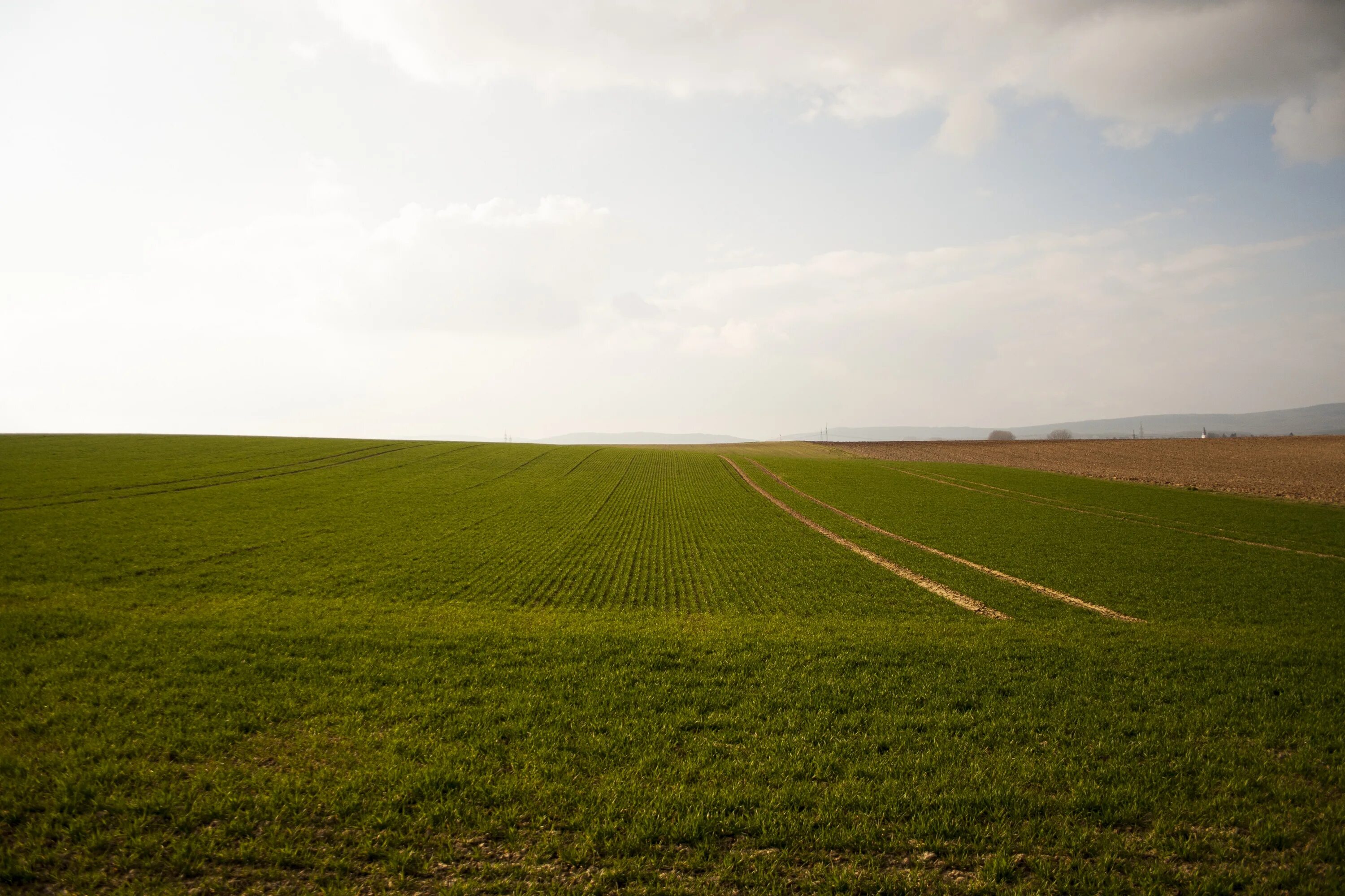 Земля поле. Сельскохозяйственные земли. Пашня. В поле. Related field