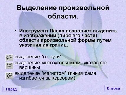Область произвольной формы
