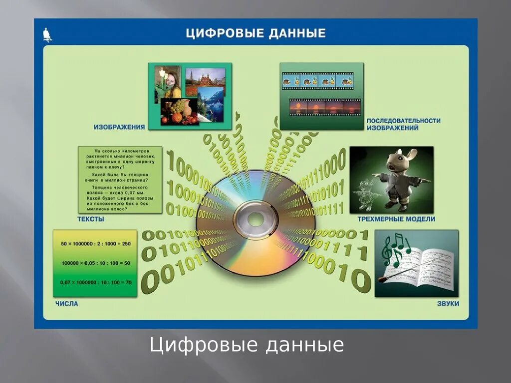 Программа цифровые данные. Наглядные пособия по информатике плакаты. данные это в информатике. плакат данные в информатике. информатика картинки наглядные пособия.