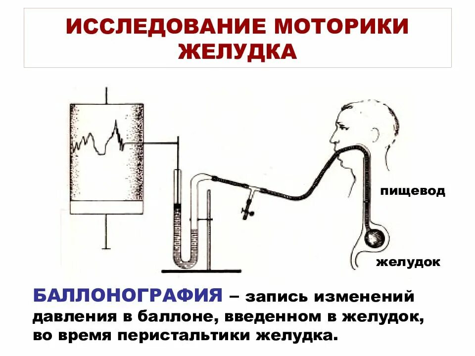 Исследование моторной функции. Исследование моторной функции желудка. баллонный метод исследования жкт. исследование моторики жкт физиология. методы изучения моторной функции желудка.
