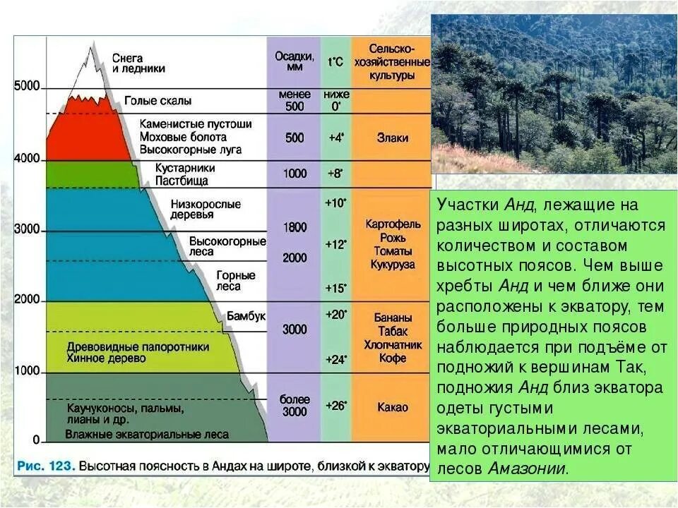 Определите самую высокую. Природные зоны ВЫСОТНОЙ поясности. Высотная поясность Сихотэ-Алинь. Высотная поясность географический пояс. Высотная поясность умеренные широты.