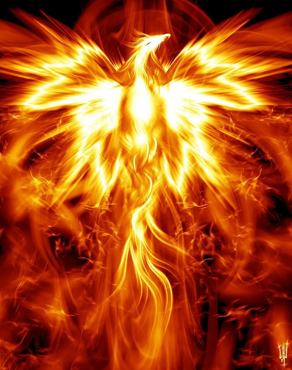 Phoenix forums. Phoenix forums