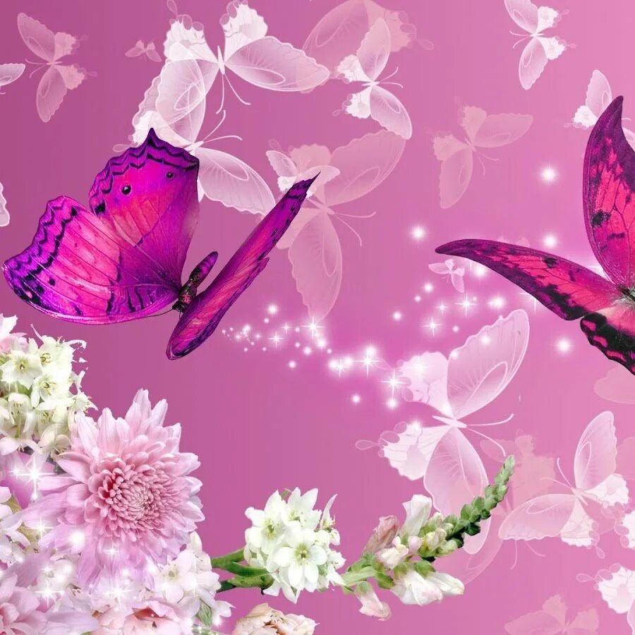 Бабочки розовые фон. Красивые розовые бабочки. Бабочки цветочки. Фотообои с бабочками и цветами. Бабочка на цветке.