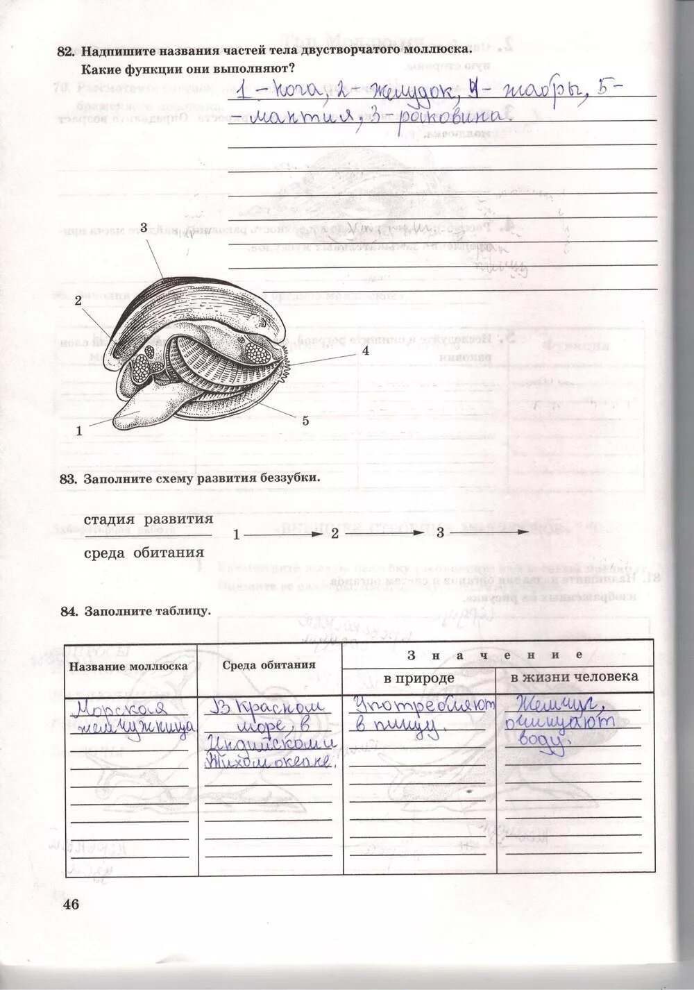 Рабочая тетрадь биология 7 класс моллюски. Биология 7 класс Захаров Сонин рабочая тетрадь моллюски ответы. Рабочая тетрадь по биологии 7 класс моллюски. Рабочая тетрадь по биологии 7 класс.