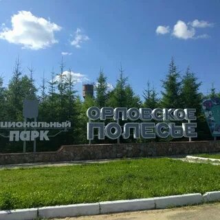 Погода орловское полесье