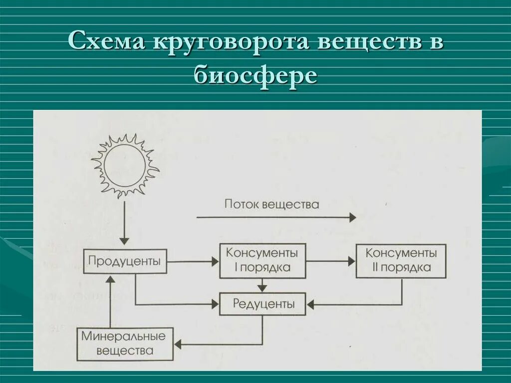 Биологический круговорот веществ в биосфере схема. Составить схему биологического круговорота веществ. Как происходит круговорот веществ в биосфере схема. Составить схему круговорота веществ в природе.