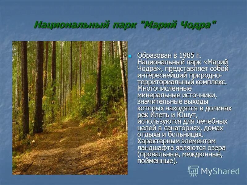 Водные объекты республики марий эл. Красоты марий эл. Природные богатства республики марий эл. Нац парк марий чодра. Йошкар-ола озеро морской глаз.