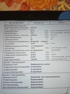Дисбактериоз с чувствительностью к бактериофагам