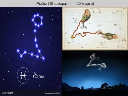 Водолей 20