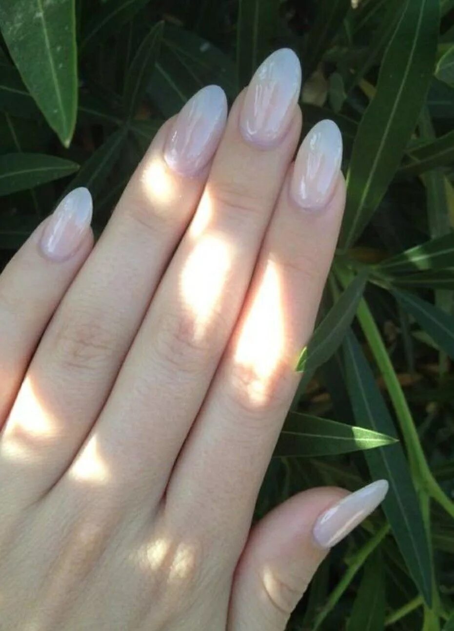 clear almond nails - Google Search Pointy nails, Nails tumblr, Fake nails