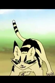 Cats long tails