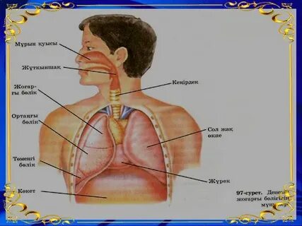Соғыс фильмдері орыс порно