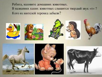 Назовите домашнее животное