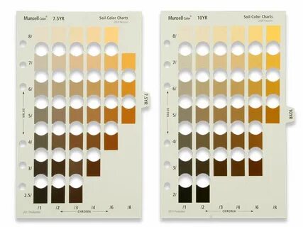 Light scale color