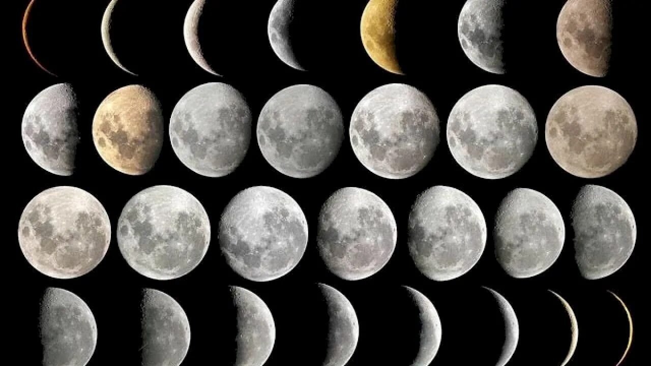 Луна. Пятая фаза Луны. Первая фаза Луны. Фазы Луны модель. Сколько частей луны