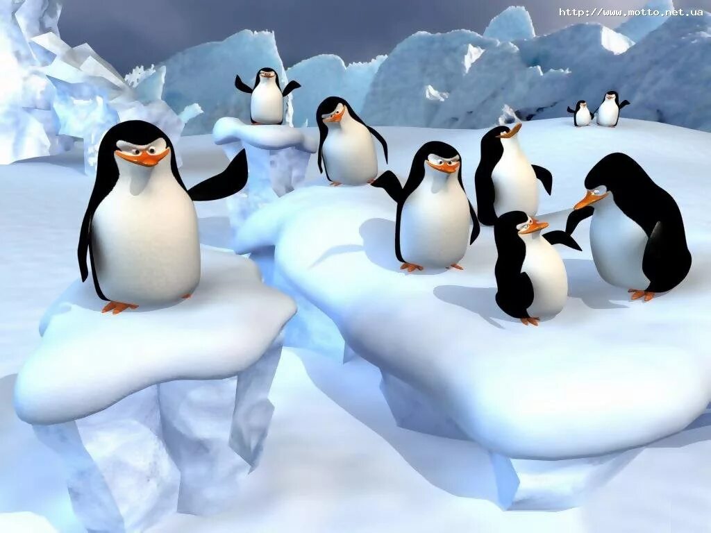 Пингвин футаж. Пингвинчик на рабочий стол. Пингвины обои. Пингвин линукс. Танцующий пингвин.