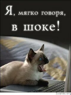 Мягко говоря много