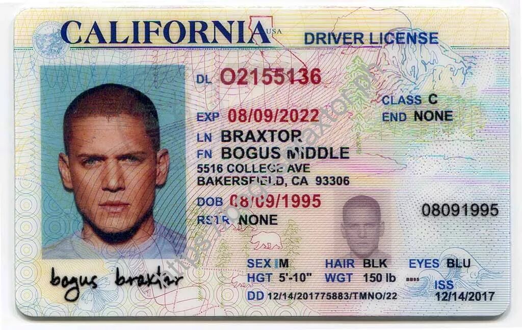 Ids license. California Driver License.