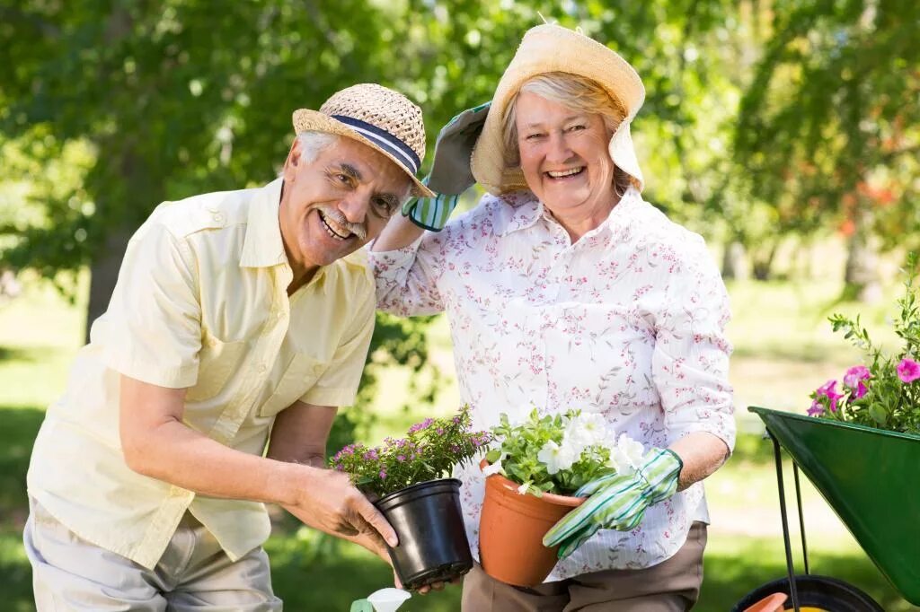 Бабушка на даче. Пенсионеры на даче. Пожилые люди на даче. Пожилые люди на даче. Пожилые на даче.