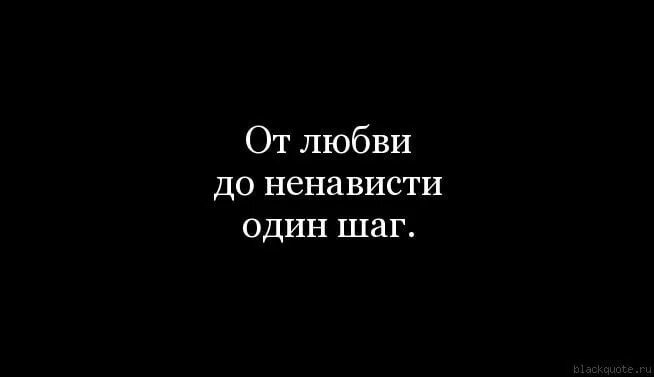 Люблю и презираю. От любви до ненависти один шаг. От ненависти до любви.... От любви до ненависти один шаг цитаты. От любви до ненависти цитаты.