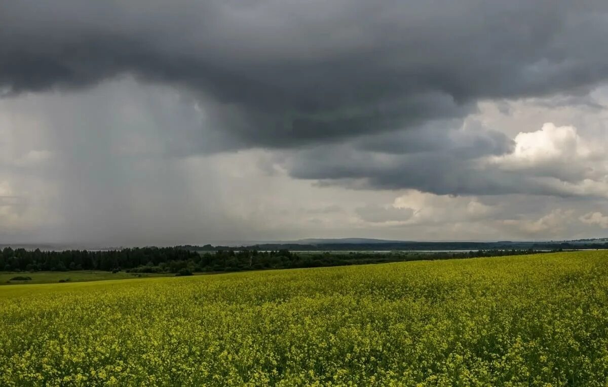 природа перед грозой. темнеющее небо. деревня перед грозой. пасмурное небо. поставь пасмурный.