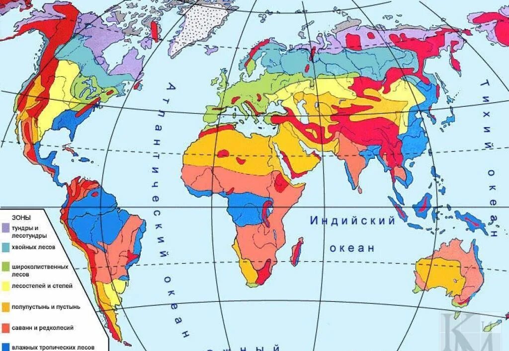 Биомы суши. Природные зоны земли карта. Карта природных зон 7 класс география.