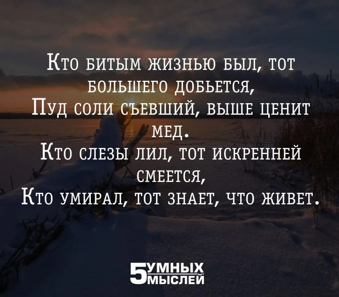 Как бы не била жизнь верю. Кто битым жизнью был тот большего добьется. Большие цитаты. Цитаты про жизнь. Цитаты с большим смыслом о жизни.