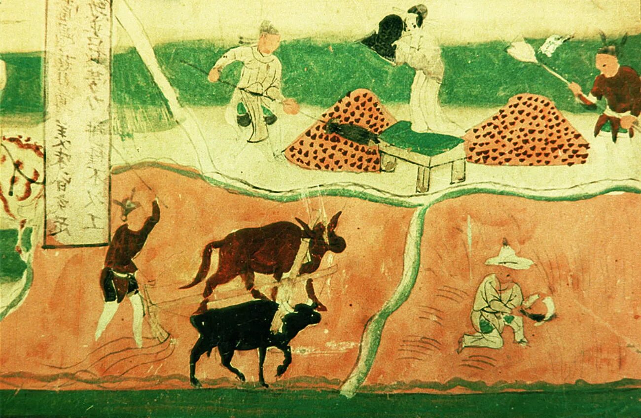 Земледельцы древней греции. Технологичное сельское хозяйство. Люди которые выращивают хлеб. Начинающий земледелец. Земледелие и крестьянство 16 века.