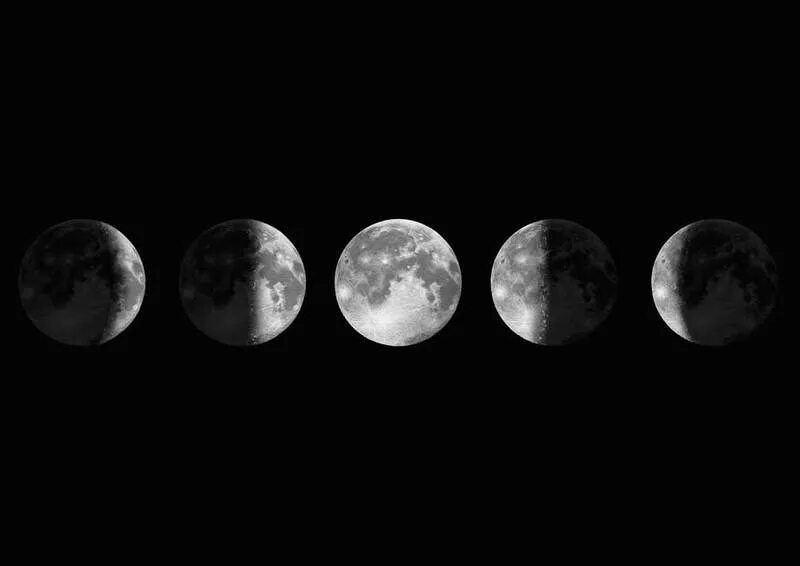 Фазы Луны. Четыре фазы Луны. Фазы Луны фото. Луна в разных фазах. 6 больших лун