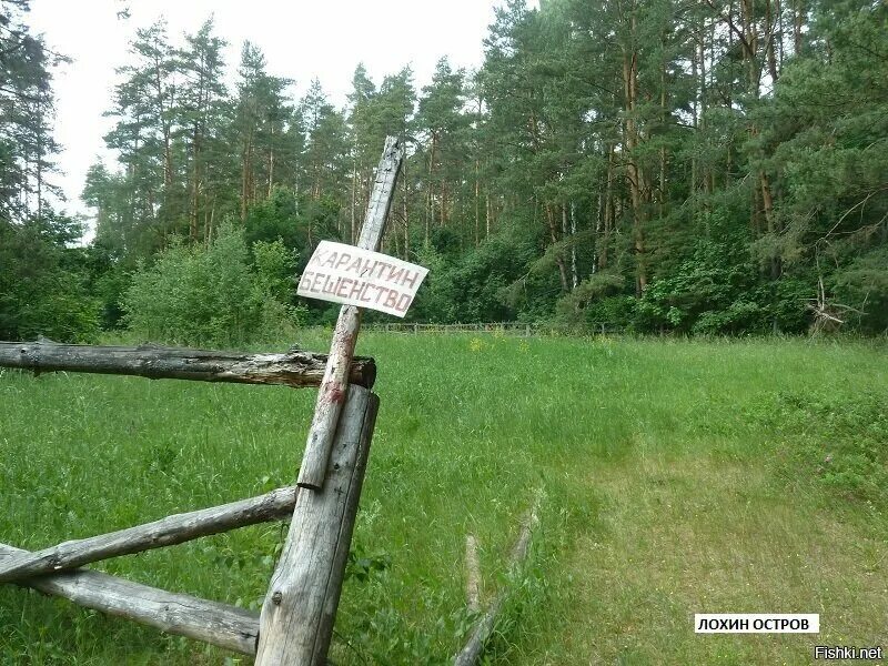 Маршрут на сапе лохин остров. Озеро глухая яма лохин остров. Лохин остров красногорск фото. Лохин остров глухая яма. Лохин остров дерево.
