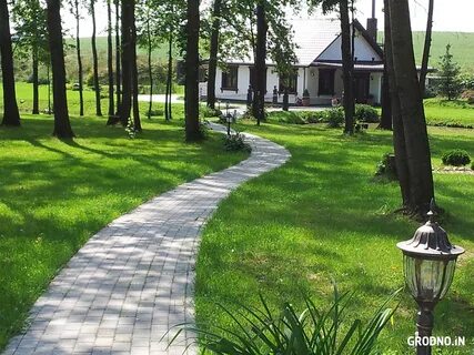 Дорожки минск