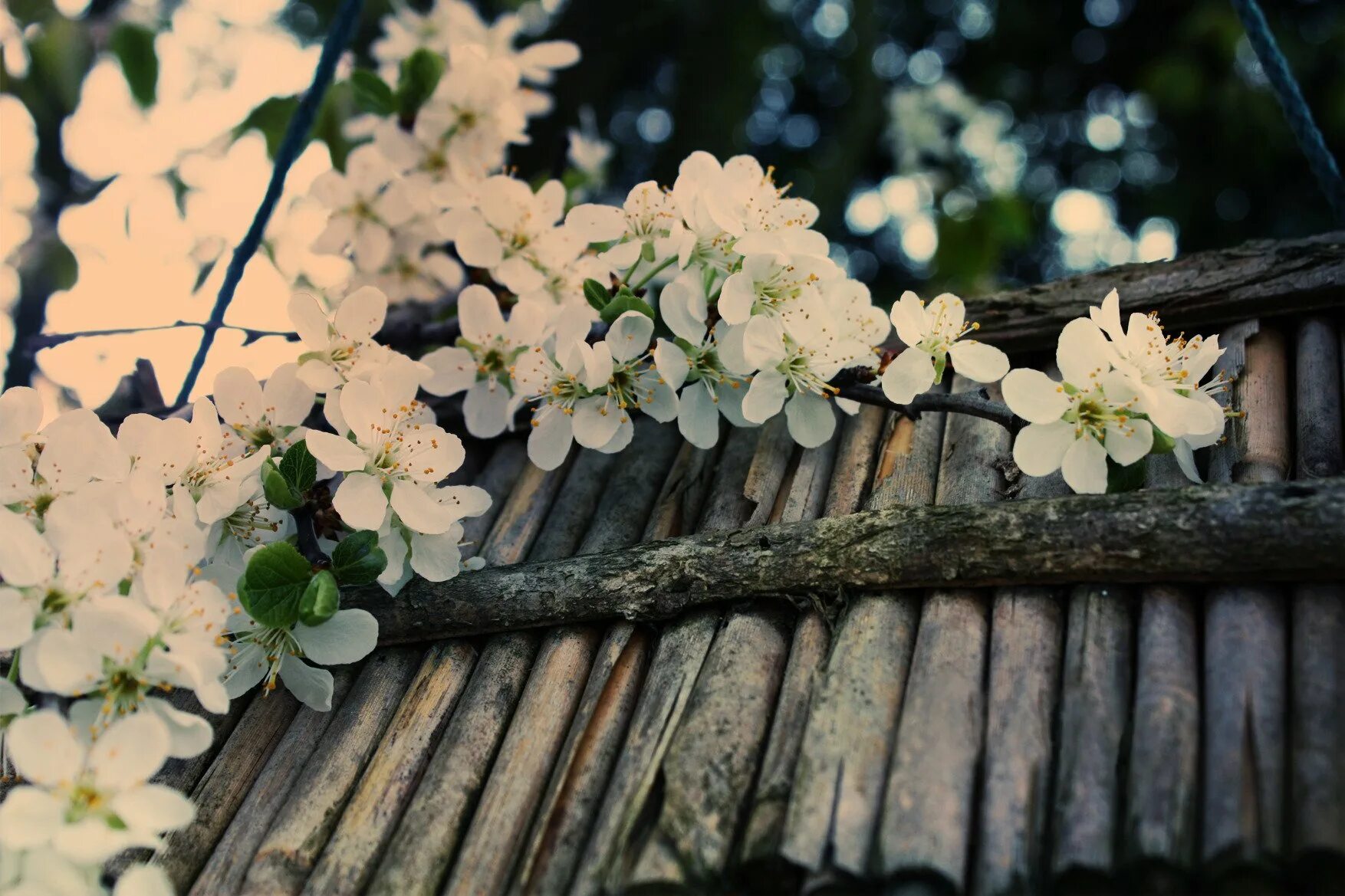 Spring condition