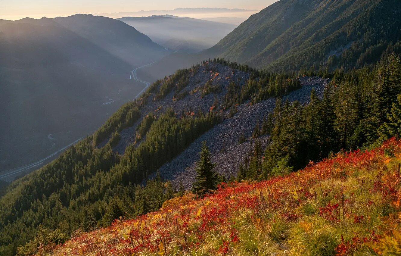пригорок в лесу. справа над лесистыми холмами сияла не. мох в горах. гора пригорок горный гористый. лес тайга сибирь вид сверху.