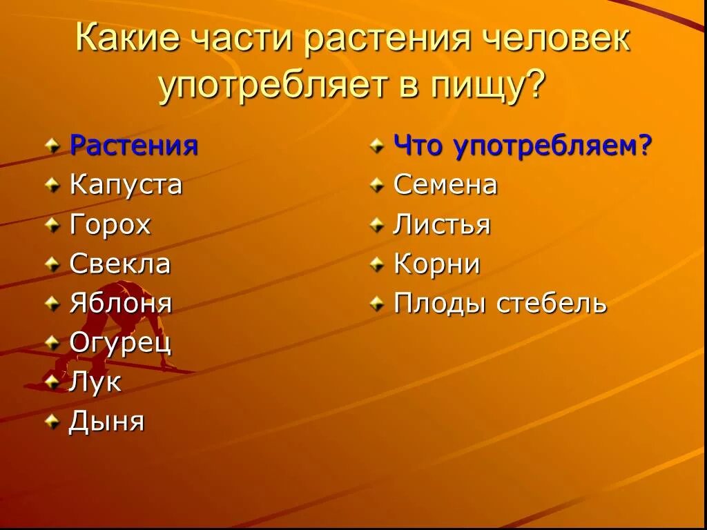 Какие части растения использует человек. Какую часть растения человек употребляет в пищу. Растения которые употребляют в пищу. Какие растения человек употребляет в пишу. Растения которые человек употребляет в пищу.