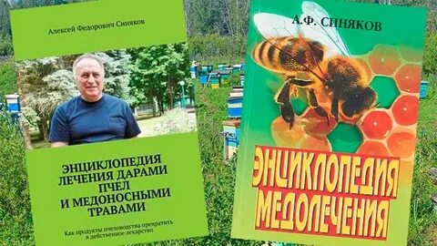 Синяков книги