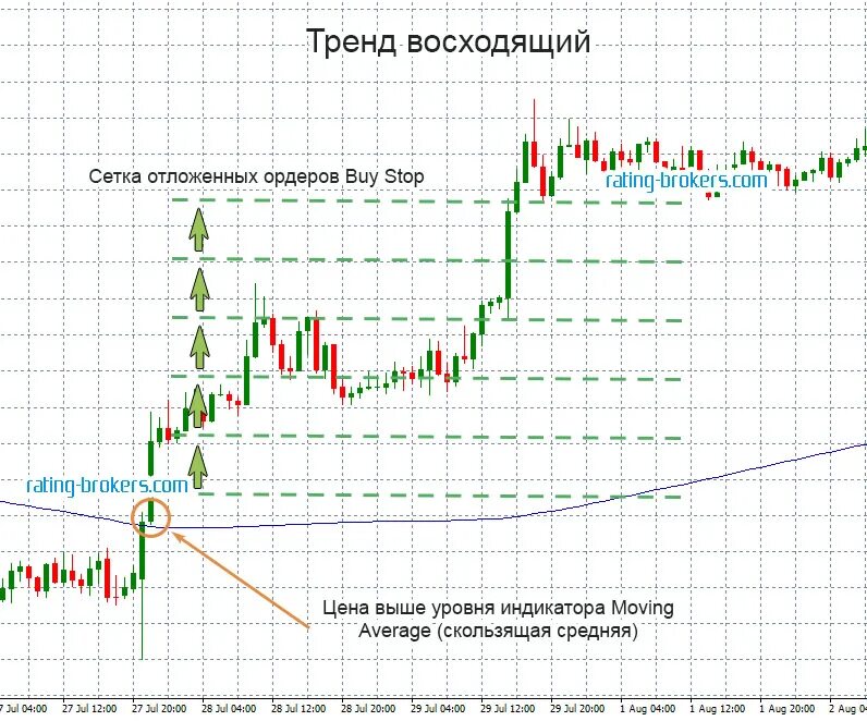 Сетка в трейдинге. Сетка в трейдинге