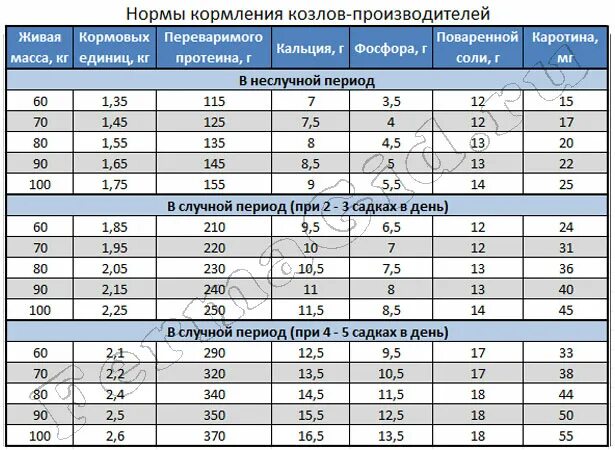 Сколько кормить козлят молоком. Нормы кормления козлят молоком. Нормы кормления козлят таблица. Таблица кормления козлят с 1 месяца. Схема кормления козлят.