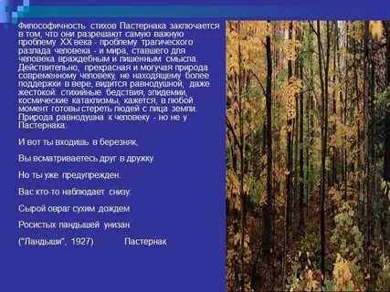 Человек и природа в лирике пастернака