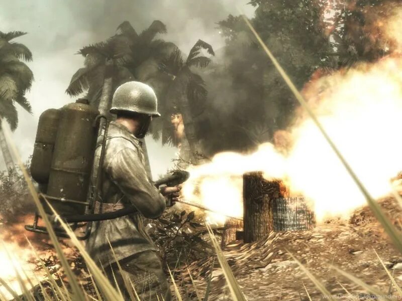 Call of duty final fronts. Cod World at War. Call of Duty: World at War. Call of Duty World at War 2 мировая война. Call of Duty война.