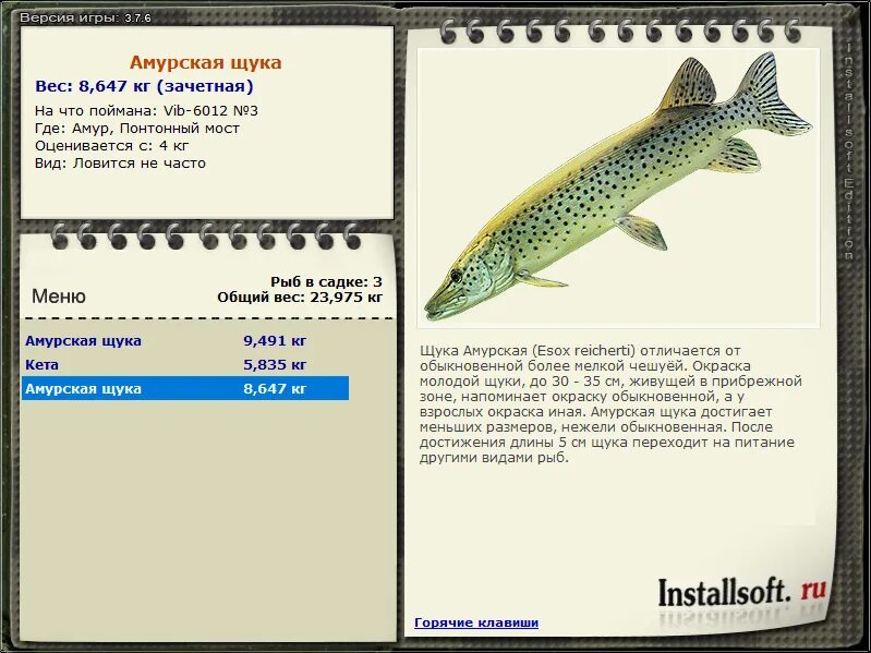 Щука калории. Максимальный размер щуки. Щука обитает. Сообщение о щуке. Амурская тигровая щука.