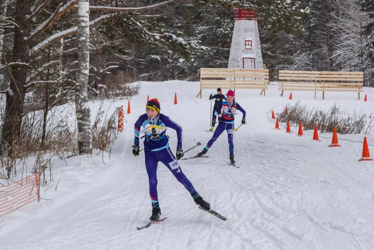 Виды соревнований по спортивному ориентированию. Сидоров Прохор ориентирование. Плотникова Елизавета спортивное ориентирование. Зотов Николай Сергеевич Рязань спортивное ориентирование. Эстафета ориентирования.
