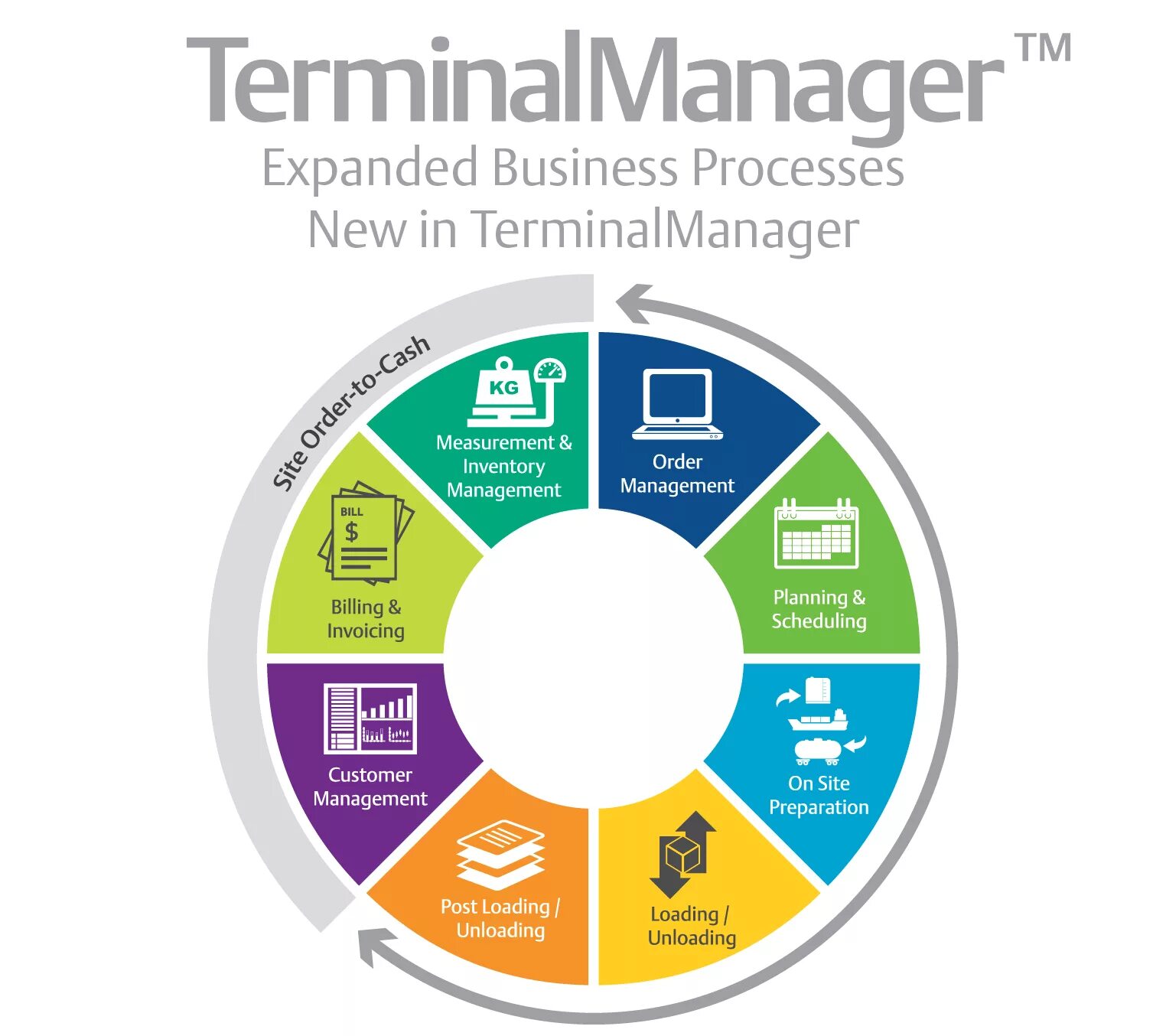 Terminal Management System. Emerson Management. Бизнес процесс Performance Management. Integrated Terminal Management System. Terminal systems